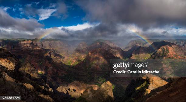 rainbow over waimea canyon - waimea valley bildbanksfoton och bilder