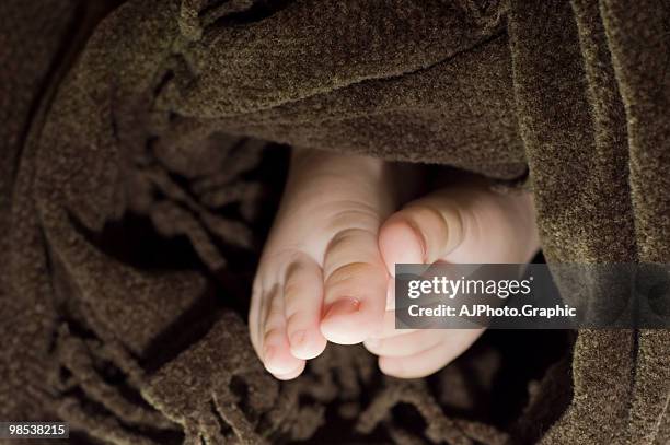 baby feet under brown blanket. - animal toe stock pictures, royalty-free photos & images