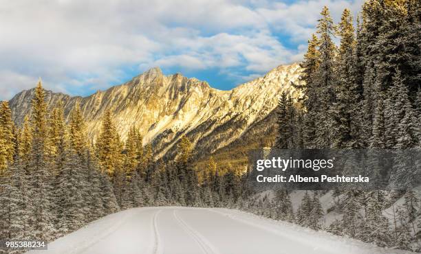 winter in jasper - albena bildbanksfoton och bilder