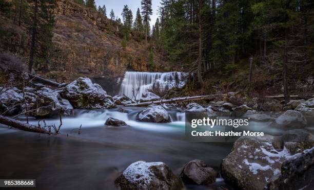 winter wonderland - heather brooke stock pictures, royalty-free photos & images