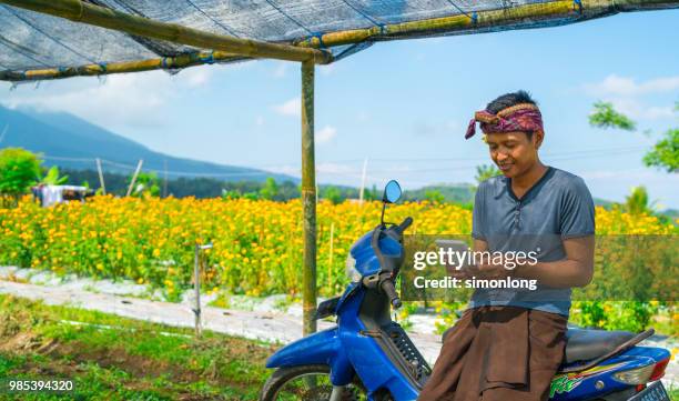 an asian young man checking massage with his smart phone - bali massage stock-fotos und bilder