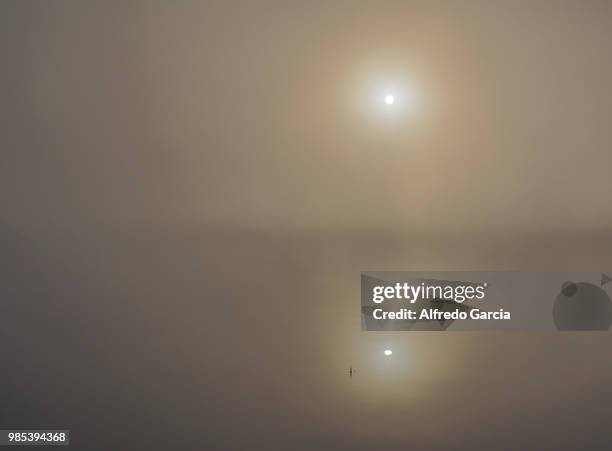 reflejos en la niebla - niebla stock-fotos und bilder