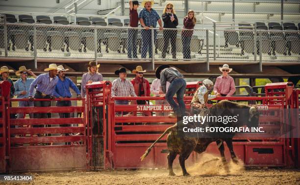 Kids Bull Riding Rodeo 248 Youth Bull Riding Stock Photos, High-Res Pictures, and Images ...