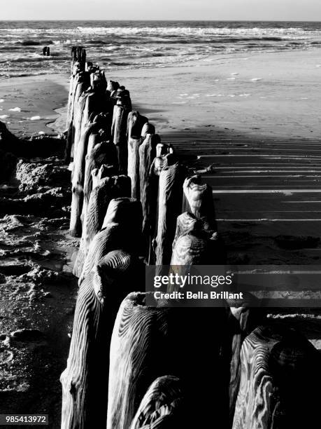 buhne at the isle of sylt - brillant 個照片及圖片檔