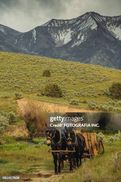 utah ranchers op wagen en paard - paardenkar stockfoto's en -beelden