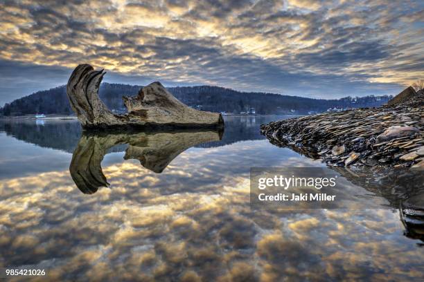 below the waterline at lake white - waterline stock pictures, royalty-free photos & images