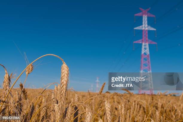 pylon and transmission power line - corncob towers stock pictures, royalty-free photos & images