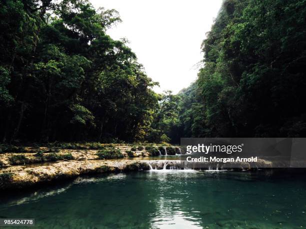 limestone pools of semuc champey - semuc champey stock pictures, royalty-free photos & images