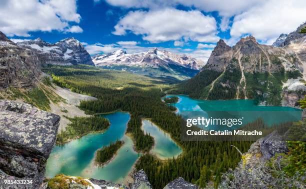 lake o'hara and the canadian rockies in british columbia, canada. - yoho national park photos et images de collection