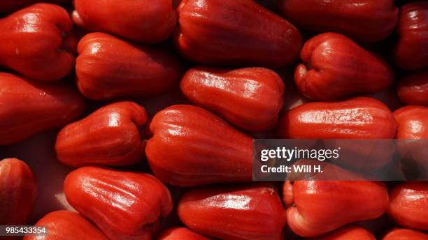 wax-apple - wax fruit stock pictures, royalty-free photos & images