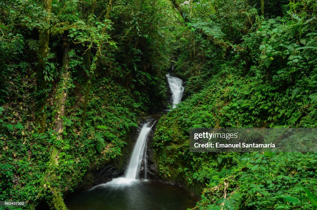 Monteverde's Waterfall