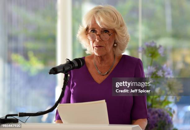 Camilla, Duchess of Cornwall attends The Royal Society of Literature '40 Under 40' fellow induction at The British Library on June 27, 2018 in...