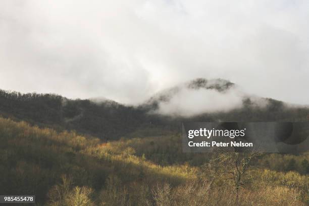 sunrise in appalachia - peter nelson imagens e fotografias de stock