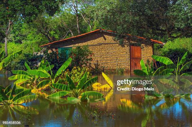 a casa e a enchente - the house and the flood - enchente stock pictures, royalty-free photos & images