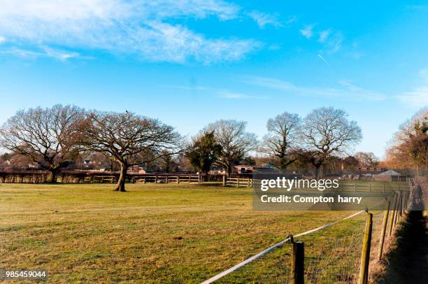 untitled - rail fence stock pictures, royalty-free photos & images