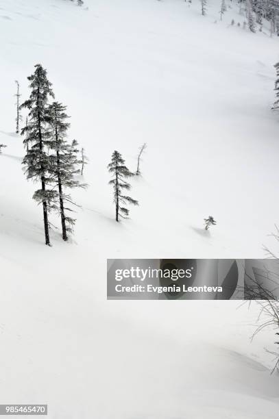 Realm Inages 419 Woodland Realm Stock Photos, High-Res Pictures, and Images - Getty ...