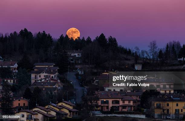 full moon in serramazzoni - volpe stock pictures, royalty-free photos & images