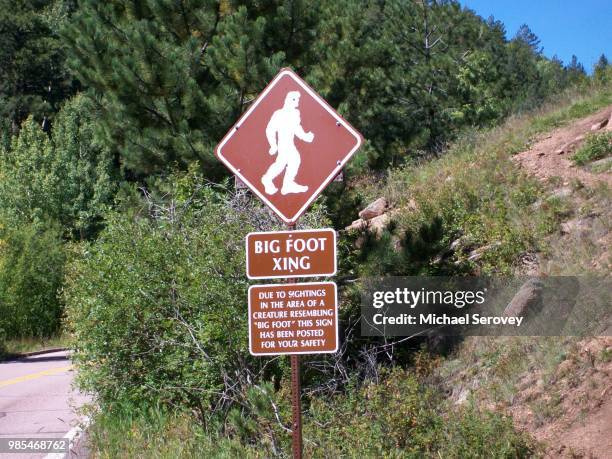 Small Bigf Sign 310 Big Foot Sign Stock Photos, High-Res Pictures, and Images - Getty ...
