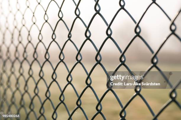 fence - wire mesh fence stock-fotos und bilder