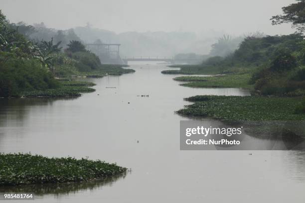 Women wash clothes on the CBL riverside, Bekasi regency, West Java, June 27, 2018. Although the river water has been contaminated with industrial...