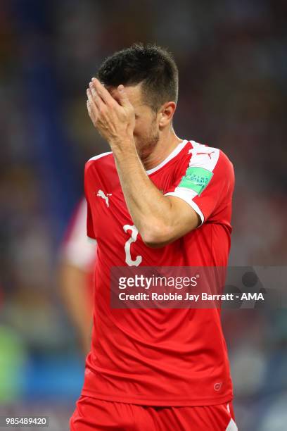 Antonio Rukavina of Serbia reacts during the 2018 FIFA World Cup Russia group E match between Serbia and Brazil at Spartak Stadium on June 27, 2018...