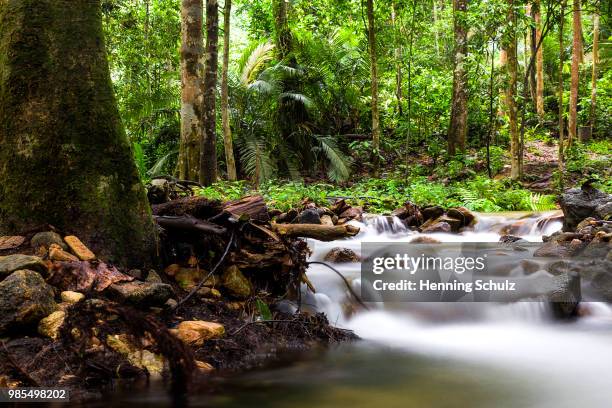 kanching wasserfall - wasserfall stock pictures, royalty-free photos & images