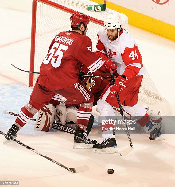 Todd Bertuzzi of the Detroit Red Wings fights for the puck with Ed Jovanovski of the Phoenix Coyotes in Game Two of the Western Conference...