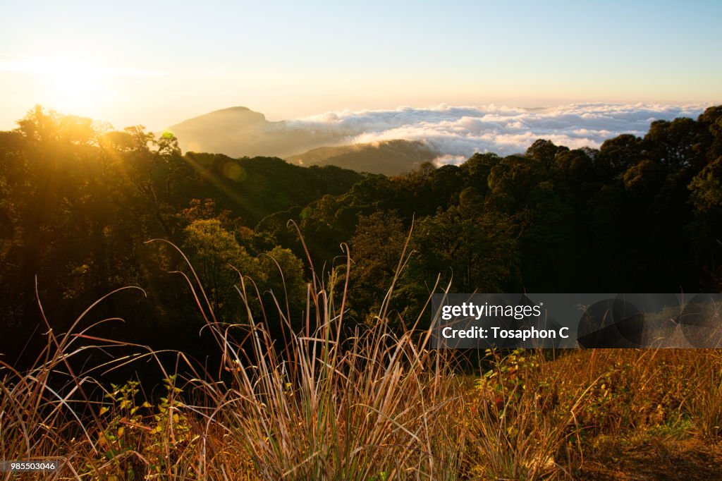 Doi Inthanon National Park,Thailand