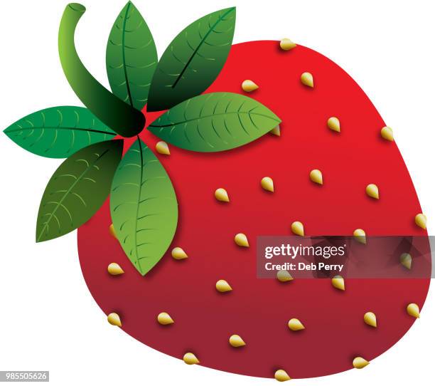 illustration of strawberry - deb perry photos et images de collection