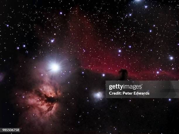 fhhna nov pe - nebulosa cabeza de caballo fotografías e imágenes de stock