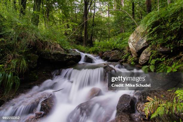 watherfall tessin gola di lago - tessin stockfoto's en -beelden