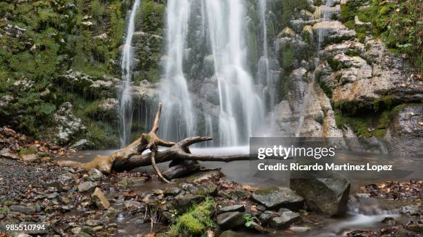 la cascada de murias y su tronco - tronco stock-fotos und bilder