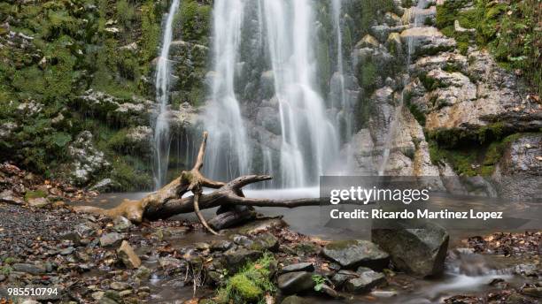 la cascada de murias y su tronco - tronco stock pictures, royalty-free photos & images