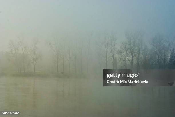 landscape in fog - mia woods stock pictures, royalty-free photos & images