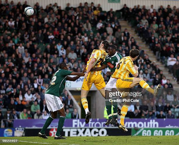Andrew Carroll of Newcastle United scoring during the Coca Cola Championship match between Plymouth Argyle and Newcastle United, at Home Park on...