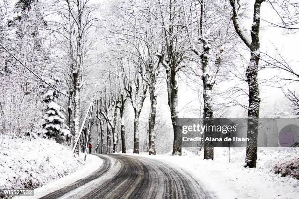 winter wonderland - haan stock pictures, royalty-free photos & images
