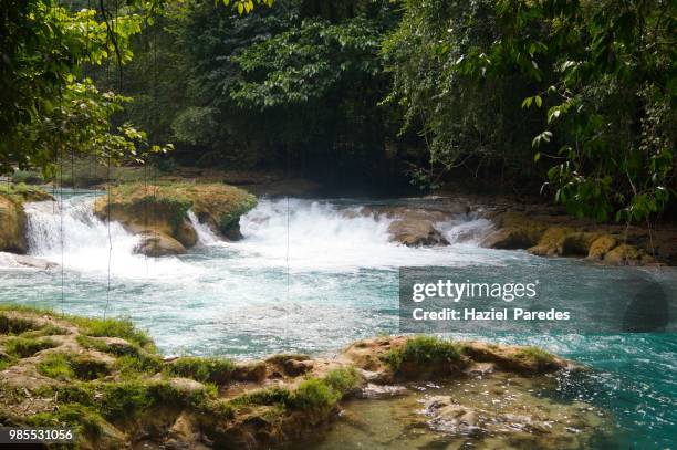 agua azul waterfalls - agua azul ストックフォトと画像