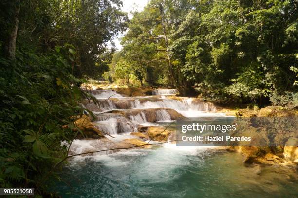 agua azul waterfalls - agua azul stock-fotos und bilder