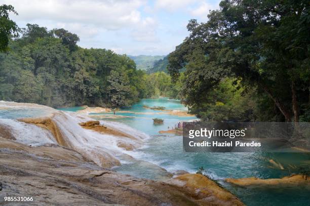 agua azul waterfalls - agua azul stock pictures, royalty-free photos & images