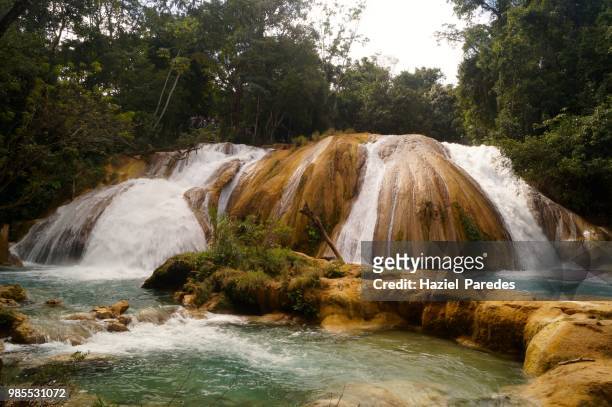 agua azul waterfalls - agua azul stock pictures, royalty-free photos & images