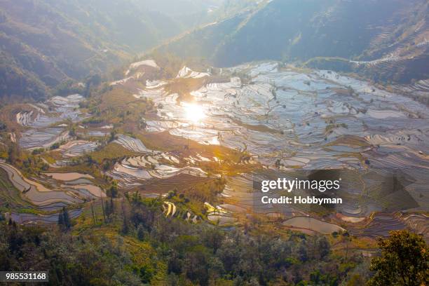 sunrise over terraced rice fields in laohuzui, yuanyang county - yuanyang stockfoto's en -beelden