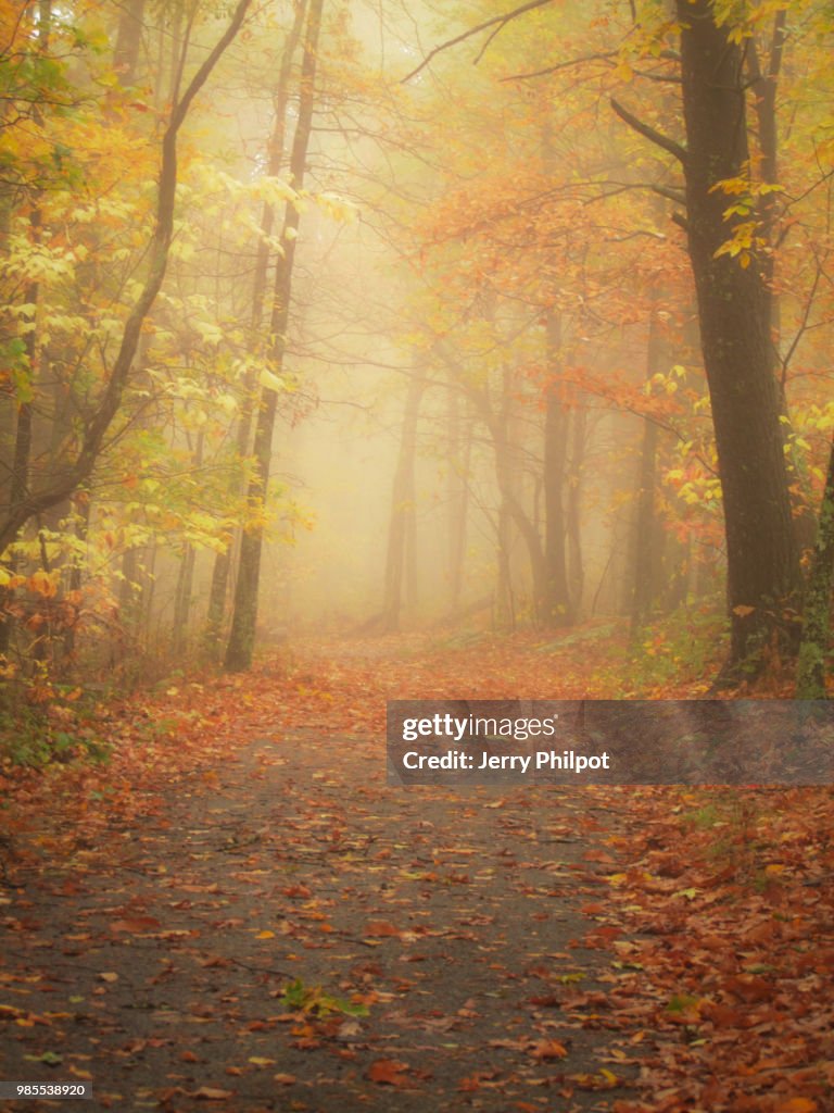 Foggy Mountain Trail