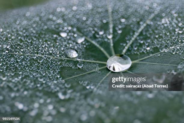 vigo,spain - abad stock pictures, royalty-free photos & images