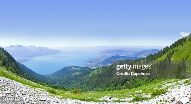 the rochers de naye (french, lit. "rocks of naye"; 2,042 metres (6,699 ft)) are a mountain of the swiss alps, overlooking lake geneva near montreux and villeneuve, in the canton of vaud. - vaud canton stockfoto's en -beelden