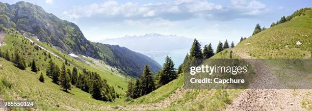 the rochers de naye (french, lit. "rocks of naye"; 2,042 metres (6,699 ft)) are a mountain of the swiss alps, overlooking lake geneva near montreux and villeneuve, in the canton of vaud. - geneva canton stock-fotos und bilder