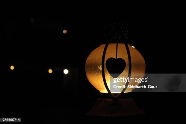 light - gaur stock pictures, royalty-free photos & images