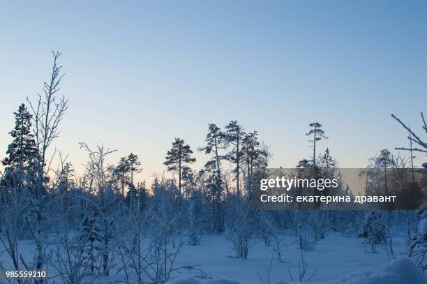 chupa, russia - chupa chupa stock pictures, royalty-free photos & images