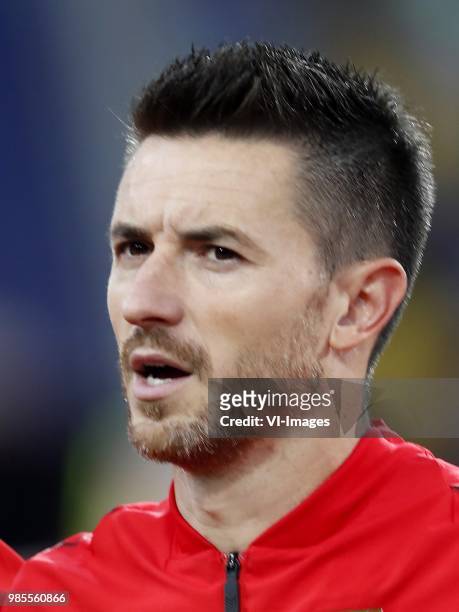 Antonio Rukavina of Serbia during the 2018 FIFA World Cup Russia group E match between Serbia and Brazil at the Otkrytiye Arena on June 27, 2018 in...