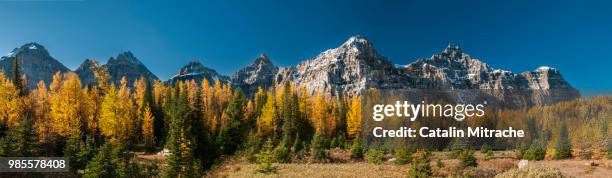 the valley of the ten peaks - valley of the ten peaks stock pictures, royalty-free photos & images