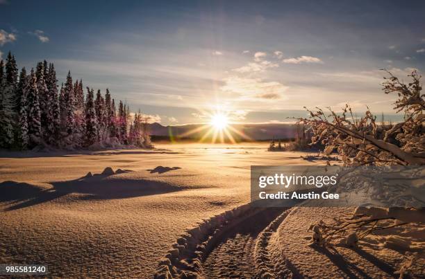 Bull Ray Photos and Premium High Res Pictures - Getty Images